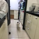 와우종합동물병원 이미지