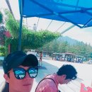 성장농장 이미지