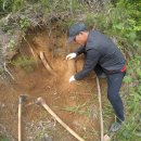 불로사슴목장 | 지리산 칡즙 불로장생의 야생 칡~ 향부터 달라요♥