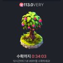높은베리 이미지
