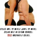점핑퀸다이어트 네이버블로그