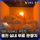 카페15도 | 홍천 실내 가볼만한 곳, 영하 15도에도 따뜻했던 무료 관광지 3군데