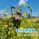 카페051시민공원점 | 부산시민공원 피크닉 : 부산 가볼만한 곳, 유채꽃 보고 왔어요
