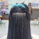 머리붙이바