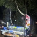 상하이야시장 - 강남구 테헤란로 322 | [상하이여행] 중국 상하이 노보텔 상하이 클로버 호텔 근처 야시장 양꼬치 후기