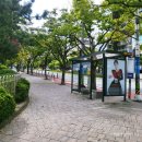 군산장애인체육관 | 부산 사직종합운동장실내체육관 가는 방법과 주차장 이용법