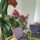 미도찜닭 | 하나투어패키지 중국 장가계 지방요리 상서미도 현지인맛집 대표음식 꽁바오지딩 후기