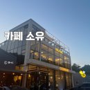 참피온애견 | 남양주 대형카페 소유 내돈내산 솔직후기｜애견동반 후기, 새벽 방문 가능한 감성 공간, 직접 다녀와봤어요