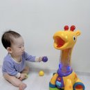 [브라이트스타트기린]내돈내산후기
