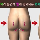 힙프로짐 네이버블로그