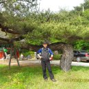 은적사입구 이미지