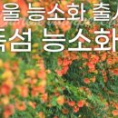 뚝섬한강공원-10 이미지