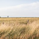 광적농협 하나로마트 이미지