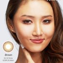 팔레트 이미지