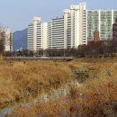 법동교차로 티스토리