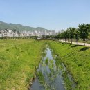 ♡1356차2025.11.02. 물금역 ~ 화명역 구간 산행공고♡ 이미지