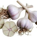 동오농장 이미지