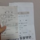 펫츠나라동물병원