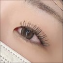 부산지방검찰청서부지청민원실 | 부산지방검찰청 서부지청 주변 부산펌포인트 추천 더렛빈