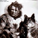 발토(BALTO) 이미지