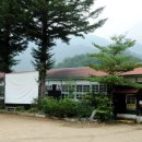 내린천의 봄 이미지