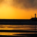 사람 그리고 새 이미지