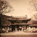 수원-1910 이미지