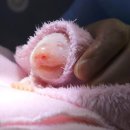 쌍둥이민박 이미지