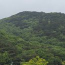 [10편] 2025년5월10일 토요일 서해랑길 43코스를 다녀와서! 이미지