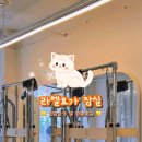 박현정 줌바 앤 댄스 | 잠실요가 :: 라엘요가 잠실 필라테스 후기