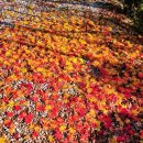 달팽이공인중개사사무소 이미지