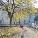 연우농장 | 책 읽고 놀고 와플 맛집 보리책 놀이터, 파주 출판단지 유아 북카페