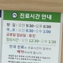 금광동물병원 | 광주 아나푸게 동물병원 강아지 백내장 수술 (내돈내산) -1편