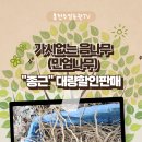 유튜브 영상제작 및 편집 이미지