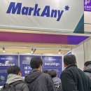 애니얼라인 이미지