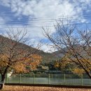 영천강변체육공원주차장 | 경북 영천 현지인 맛집 추천 임고강변공원 근처 “진미손칼국수” 솔직 후기