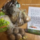 서대문구청 직장어린이집 | [서대문구] 서대문-전주 도농상생 '친환경 농산물 꾸러미' 후기!