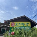 [파주] 파주오리주물럭 맛집 두경오리농장 방문후기
