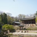 부영정