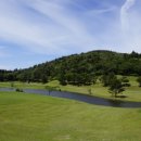 타미우스CC 이미지