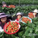 강정동-54 이미지