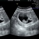 류여성의원 이미지