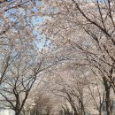 송정아지트