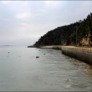 송이도해수욕장 Daum카페