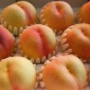 은이농장 이미지