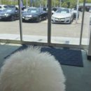 한신모터스 이미지