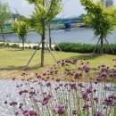 부안동초교 이미지