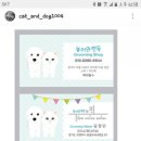 놀러와캣독 이미지