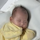 사랑 | 케이맘 부산진구점 산후도우미 후기