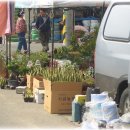 판교시장 이미지